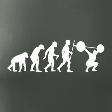 Evolution fitness
