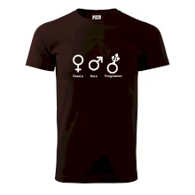 Female male programmer