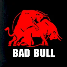 Bad Bull