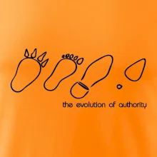 Evolution of authority