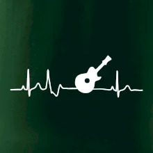 EKG akustická gitara