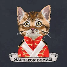 Napoleon domáci mačka
