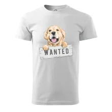 Zlatý retriever - šteniatko wanted
