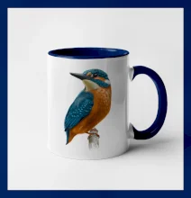 Ľadnáčik kreslený