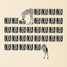Zebra dlhá