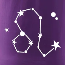 Súhvezdie - Leo - Lev