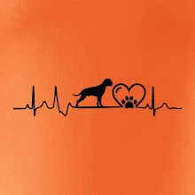 Nemecký boxer EKG Nemecký boxer EKG
