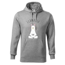 Yoga Llamaste Yoga Llamaste