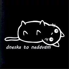Dnes to nedávam