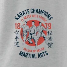 Karate Champions