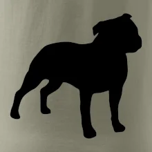 Americký stafordšírsky teriér Na prsníku