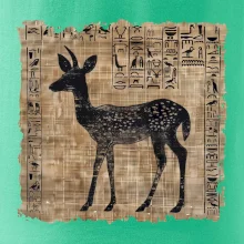 Egyptské hieroglyfy srnka