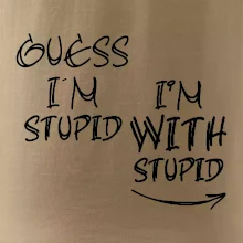 Guess iam stupid