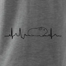 EKG morča EKG morča