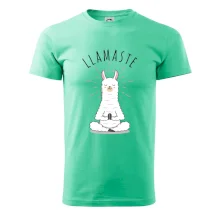 Yoga Llamaste Yoga Llamaste