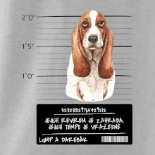 Baset - lump a darebák  