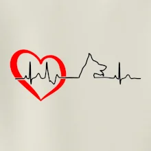 Nemecký ovčiak ekg