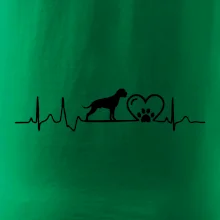 Nemecký boxer EKG Nemecký boxer EKG