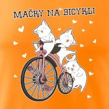 Mačky na bicykli
