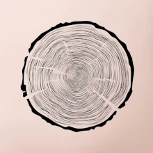 Letokruhy 100 bez veku