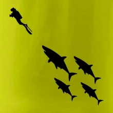 Potápač žraloky Potápač žraloky