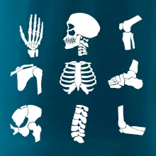 Röntgen - ikony Röntgen - ikony