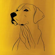 Labrador čierna kresba