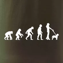 Lagotto romagnolo Evolúcia