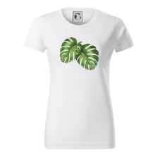 Monstera - dva listy