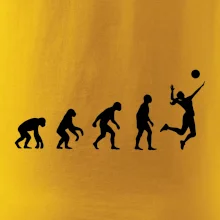 Evolúcia volejbal cop