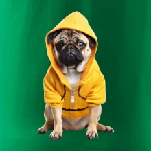 Mops v mikine Mops v mikine