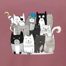 Mačky, čo nie sú tak úplne veselé