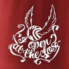 Harry - Zlatá strela