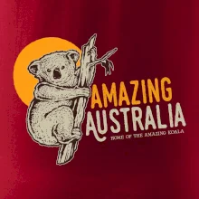 Amazing Australia koala Amazing Australia koala