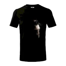 Ragdoll z boku čierna fotka