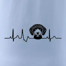 Lagotto romagnolo hlava EKG