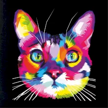 Mačka dúhová hlava
