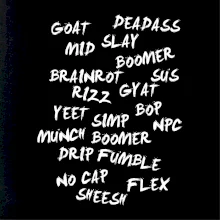 Generácia Z - Gén Z slovník