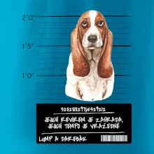 Baset - lump a darebák  