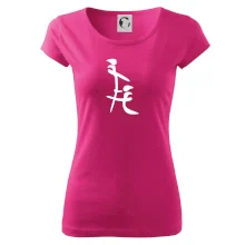 Čínský znak Čínský znak