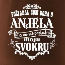 Požiadal som Boha o anjela a on mi poslal moju svokru