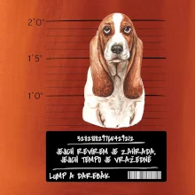 Baset - lump a darebák  