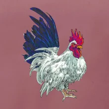 Kohút kreslený biely