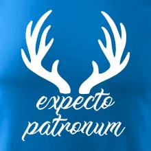 Harry - Expecto patronum Harry - Expecto patronum