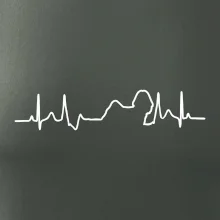 Shih-tzu ekg obrys Shih-tzu ekg obrys