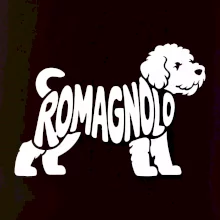 Romagnolo nápis v tele