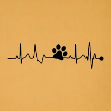 Ekg psia labka Ekg psia labka