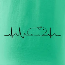 EKG morča EKG morča