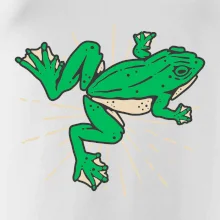 Žaba zelená kreslená