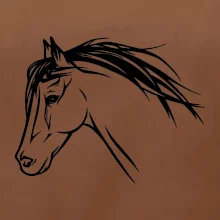 Kôň - hlava celá